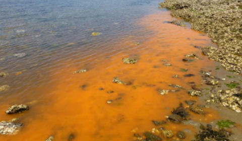 Eau colorée photo d'une eau de mer colorée en orange